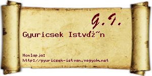 Gyuricsek István névjegykártya