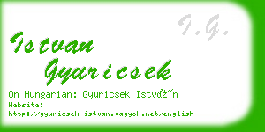 istvan gyuricsek business card